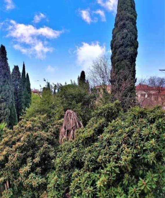 Apartamento Casa Raffaello Careggi Florencia Exterior foto
